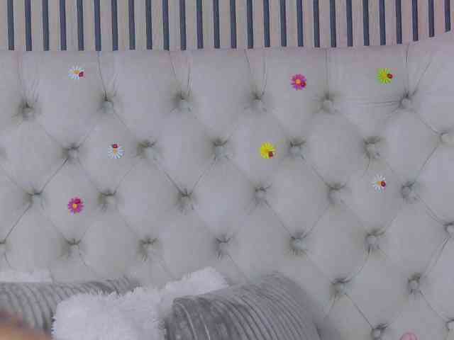 TastyShow webcam