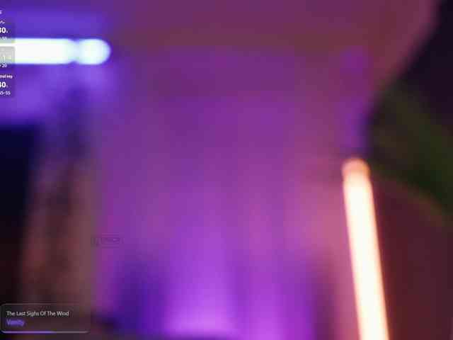 arimass webcam