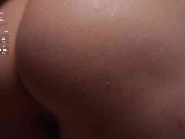 arimass webcam