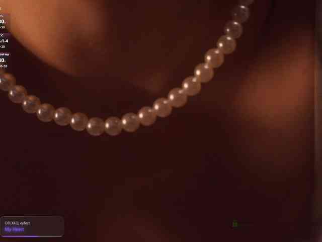 arimass webcam
