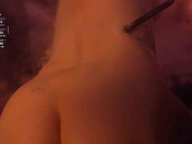 arimass webcam
