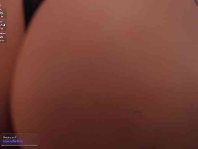arimass webcam