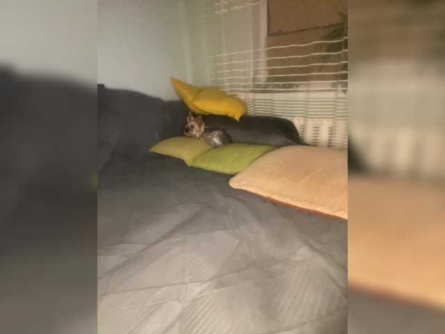 SweetLoveKiss's BongaCams show and profile