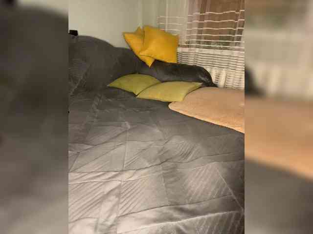 MayLily webcam