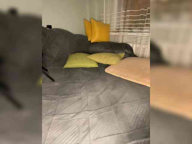 MayLily webcam