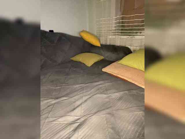 MayLily webcam