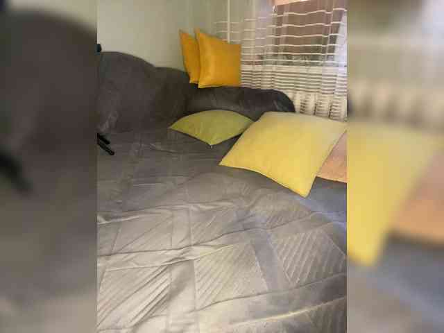 MayLily webcam