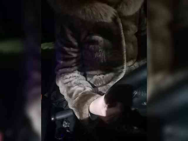 your-lioness your-lioness