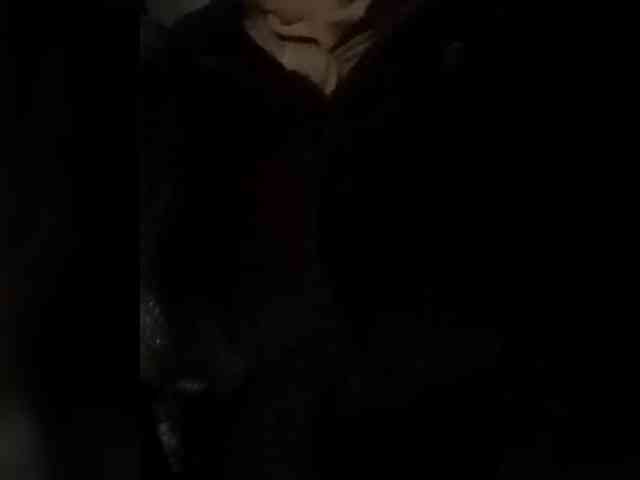 your-lioness your-lioness