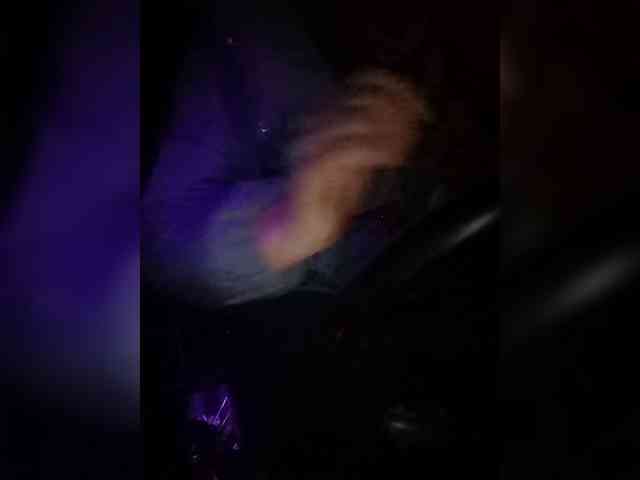 your-lioness your-lioness