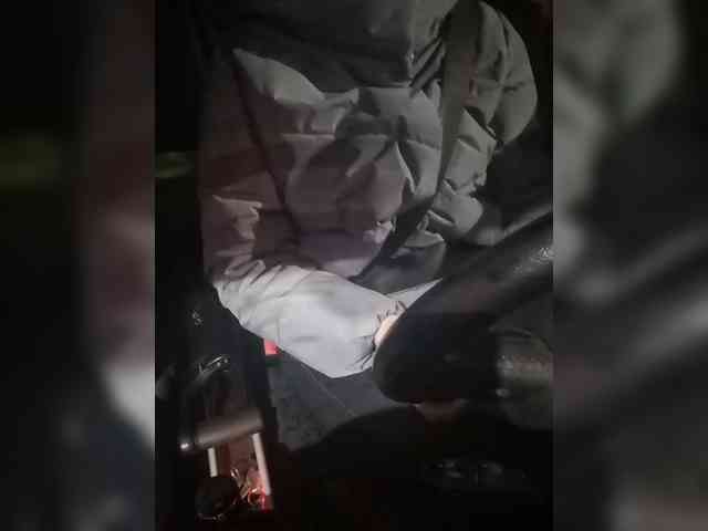 your-lioness your-lioness