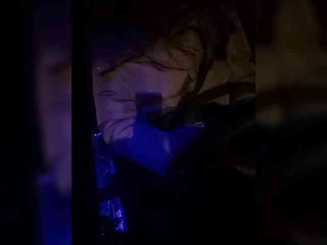 your-lioness your-lioness