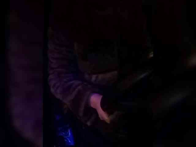 your-lioness your-lioness