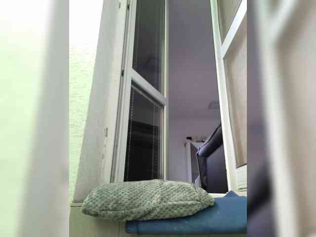 Violasweety webcam