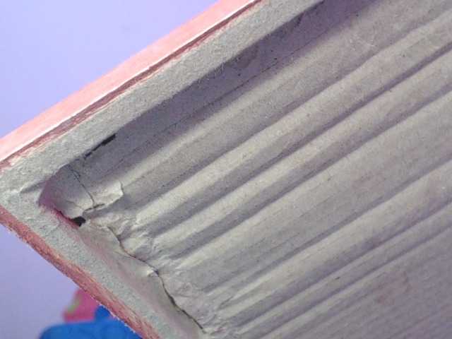 Preview of charlotehere