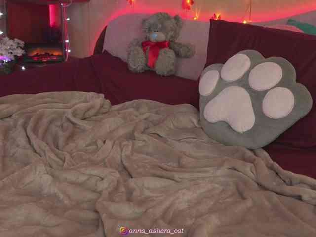 AsheraCat webcam