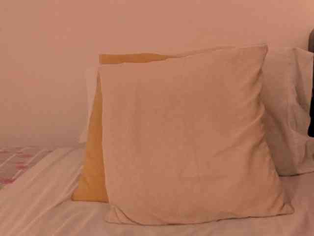 Lucypalmax Lucypalmax