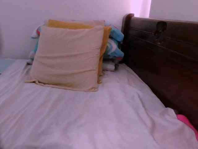 Lucypalmax Lucypalmax