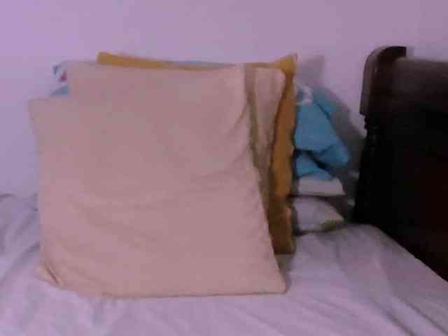 Lucypalmax webcam