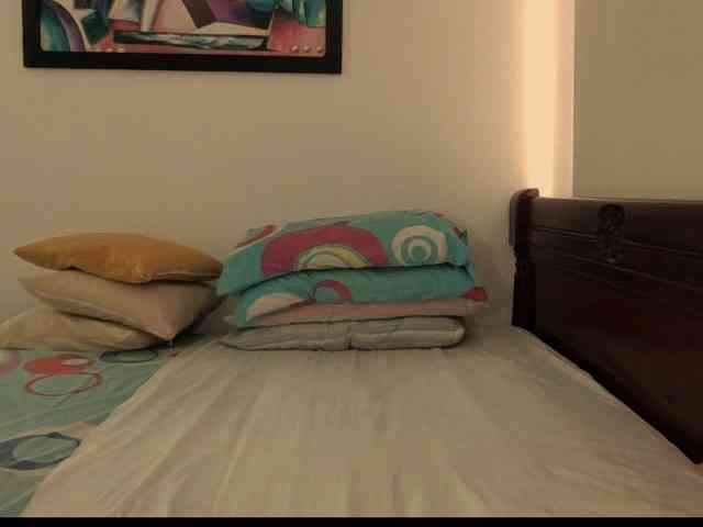 Lucypalmax Lucypalmax