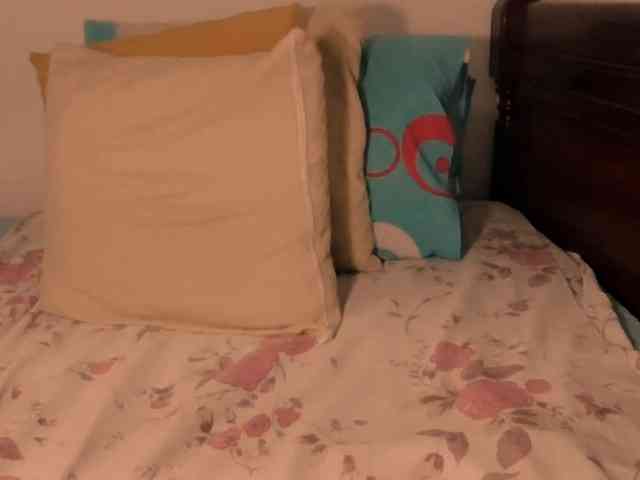 Lucypalmax Lucypalmax