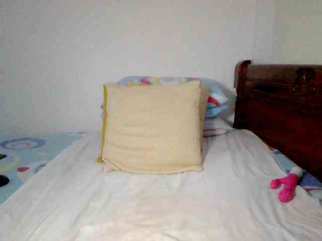 Lucypalmax webcam