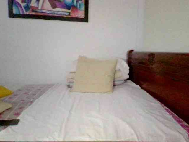 Lucypalmax webcam
