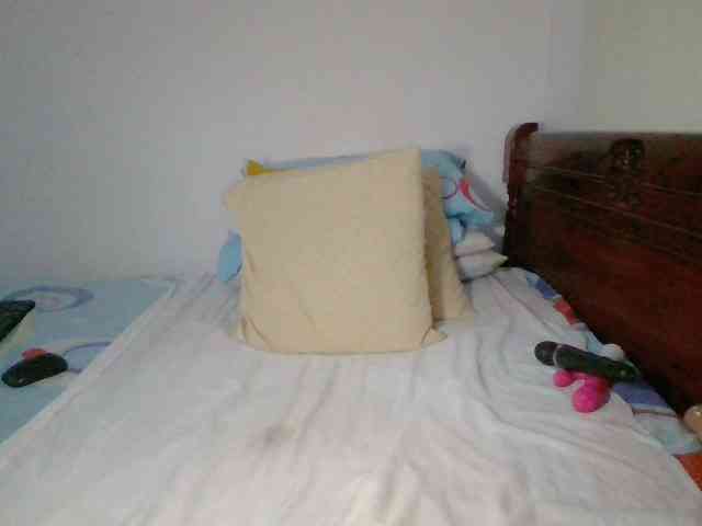 Lucypalmax webcam
