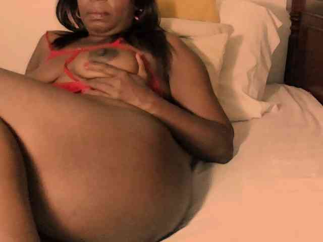 Lucypalmax Lucypalmax