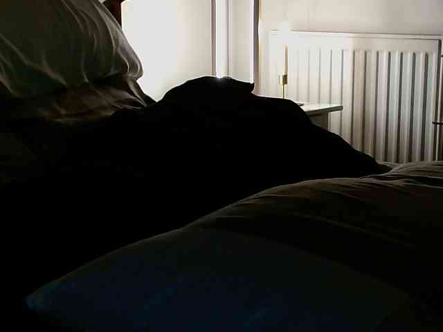 Highub