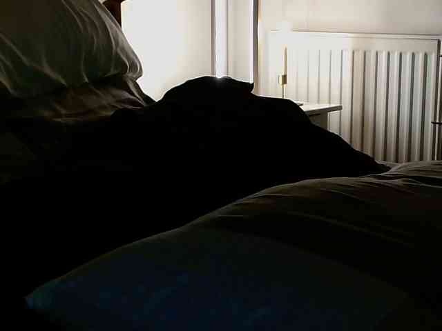 Highub