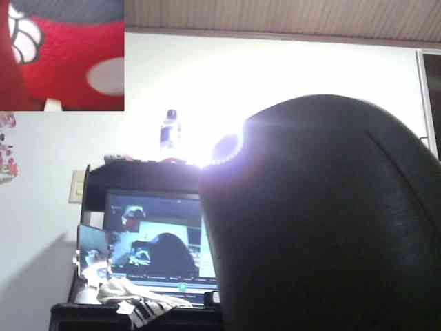 zoedoll webcam