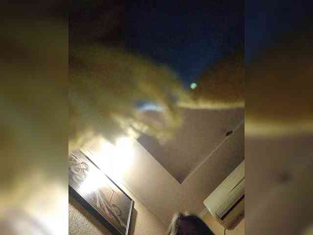 LunaRex webcam