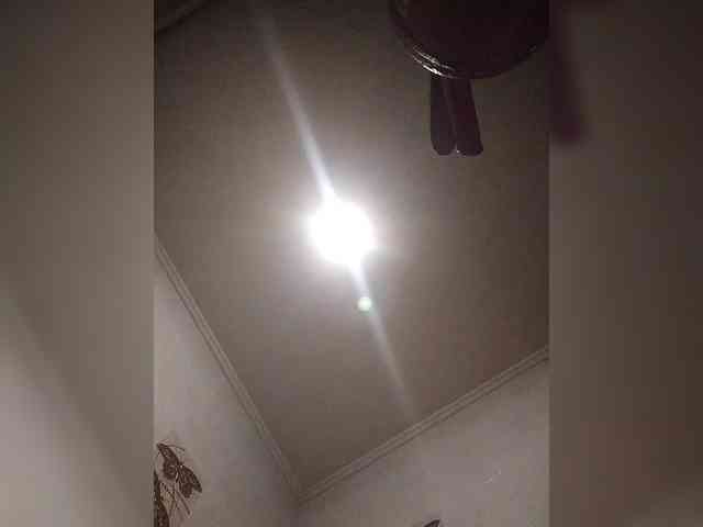 LunaRex webcam
