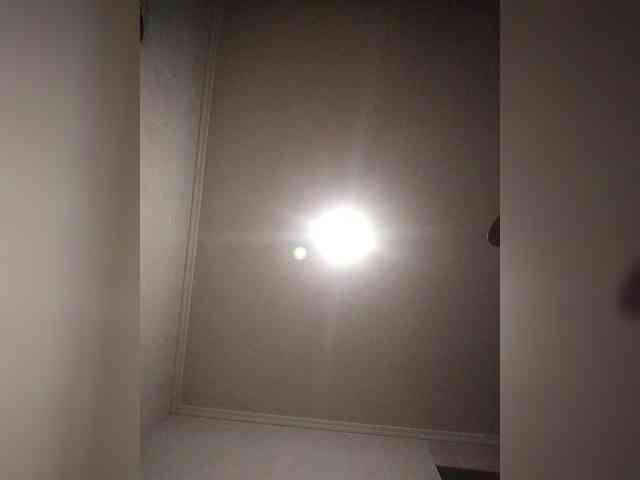 LunaRex webcam