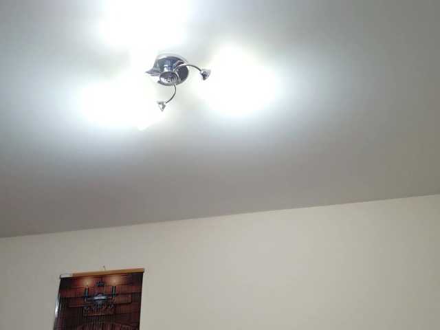 Fox-Lisa's BongaCams show and profile