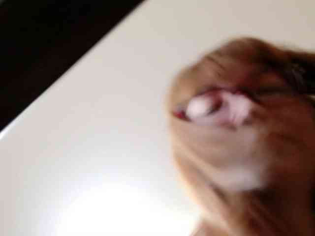 QueenFoxyLiza webcam