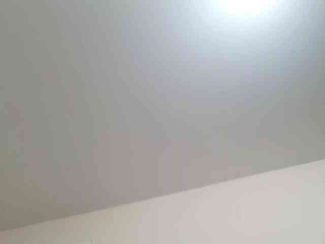 QueenFoxyLiza webcam