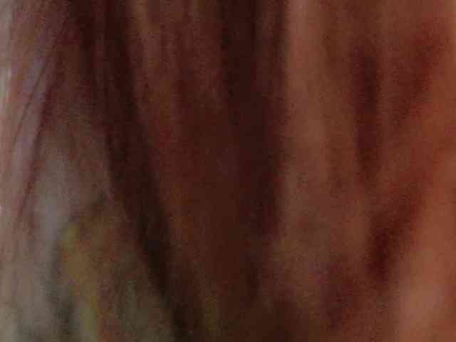 QueenFoxyLiza webcam