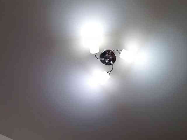 QueenFoxyLiza webcam