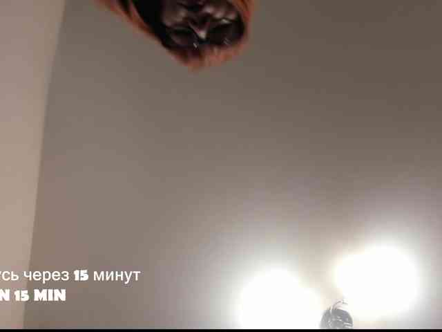 QueenFoxyLiza webcam