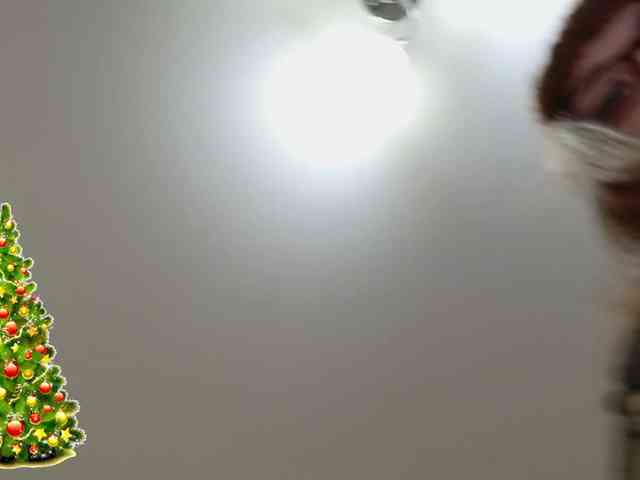 Fox-Lisa Live Webcam on {site_name}