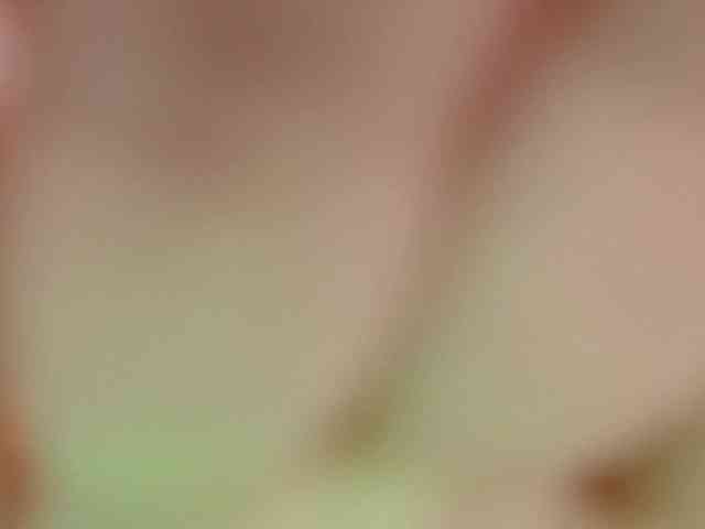 QueenFoxyLiza webcam