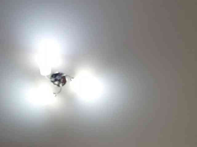 QueenFoxyLiza webcam