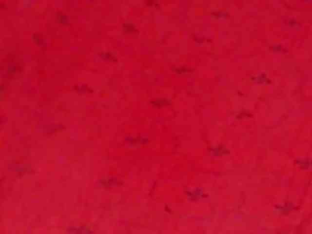 AlanaRichards AlanaRichards