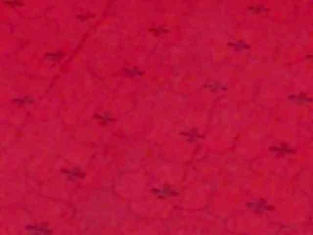 AlanaRichards webcam