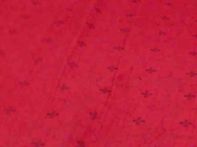 AlanaRichards webcam