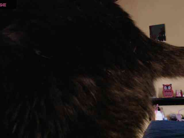 EmmaHenderson webcam