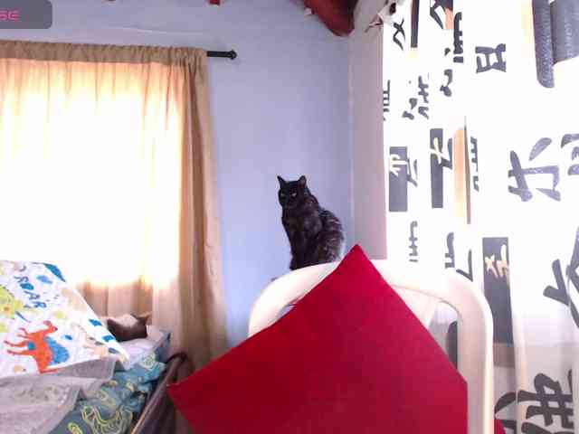 EmmaHenderson webcam