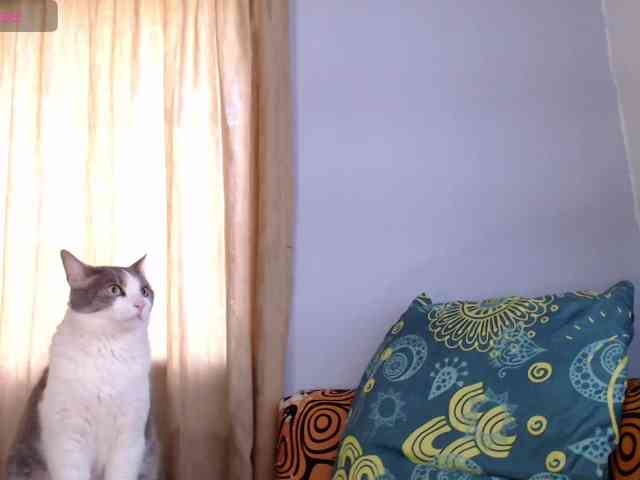 EmmaHenderson webcam
